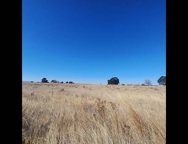 8.50HA VACANT LAND FOR SALE IN WITKOP